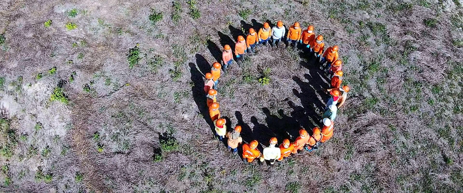 Equipe Emflora reunida em círculo, vista de drone